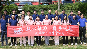 天瑞电子南京分公司组织春季团建活动